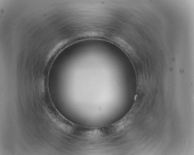 X0000073920112200608111232