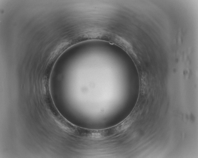 X0000073920114200608111232