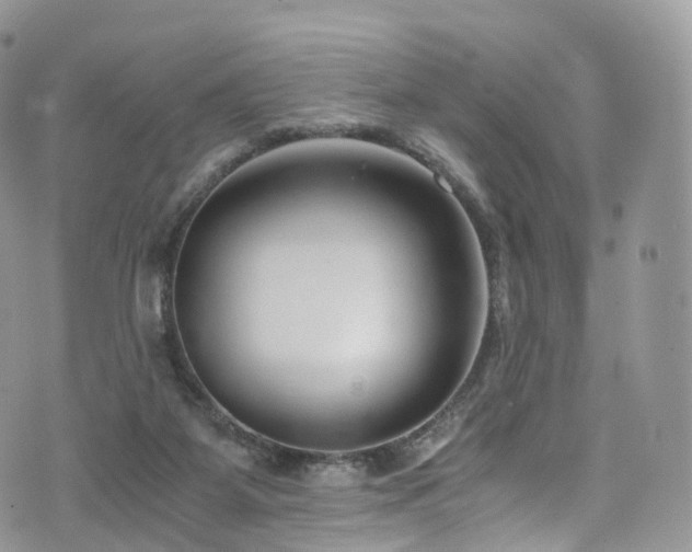 X0000073920115200608111232