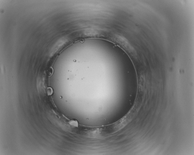 X0000073920116200608111232