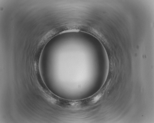 X0000073920117200608111232