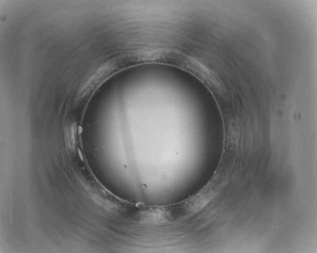 X0000073920118200608111232