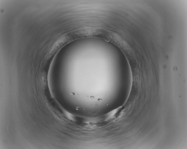 X0000073920119200608111232