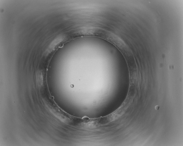 X0000073920120200608111232