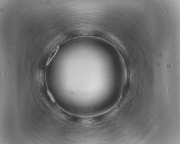 X0000073920121200608111232