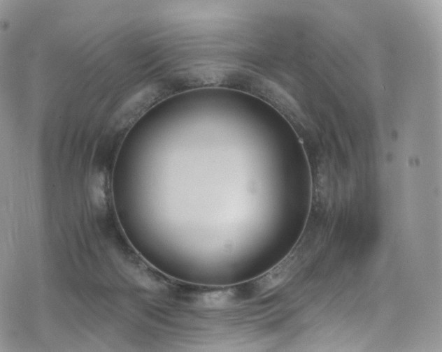 X0000073920122200608111232