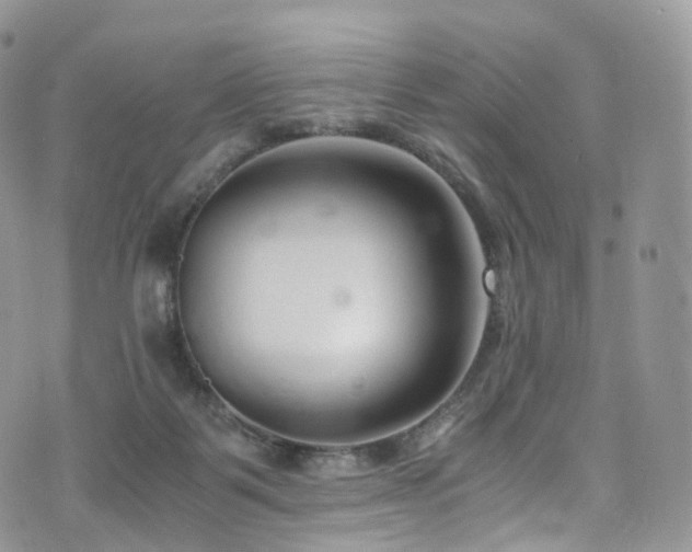 X0000073920123200608111232