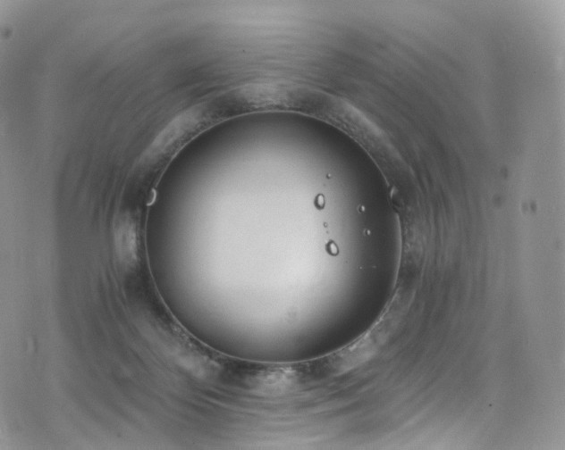 X0000073920124200608111232