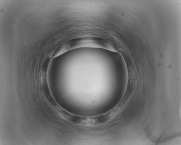 X0000073920125200608111232