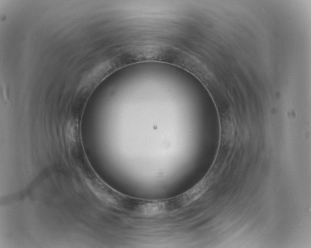 X0000073920126200608111232