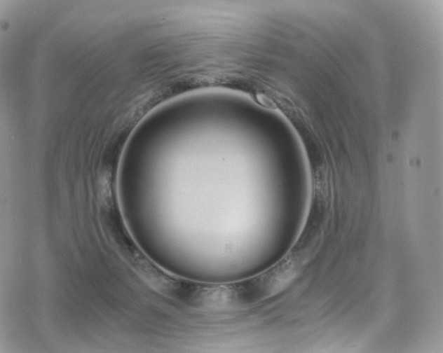 X0000073920127200608111232