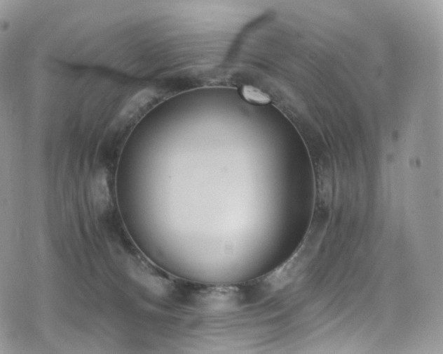 X0000073920128200608111232