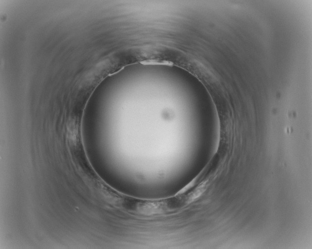 X0000073920129200608111232