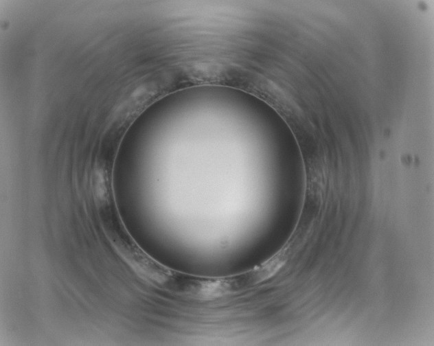 X0000073920130200608111232