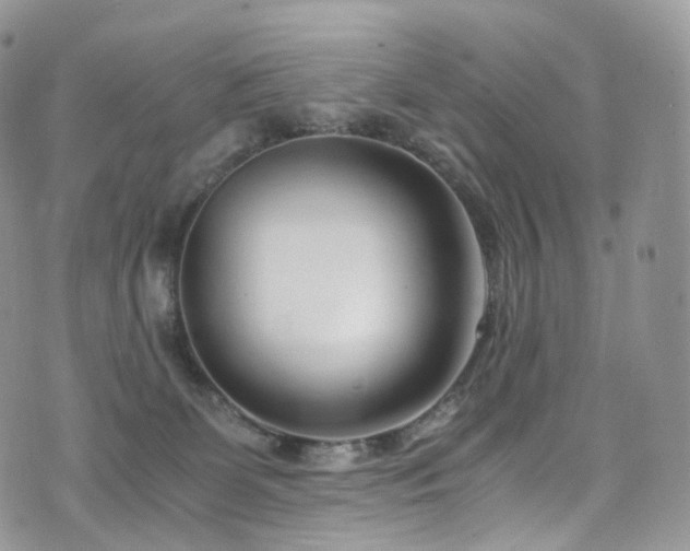 X0000073920131200608111232