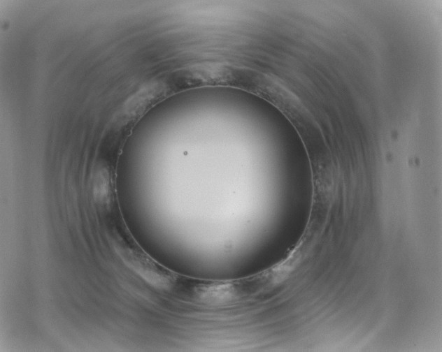 X0000073920132200608111232