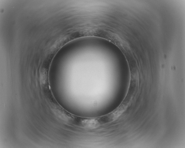 X0000073920133200608111232