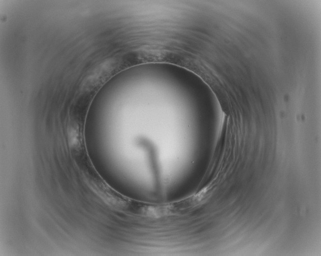 X0000073920134200608111232