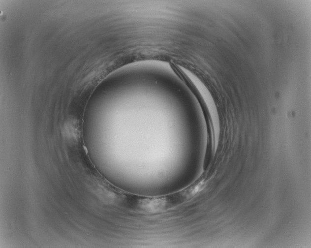 X0000073920135200608111232