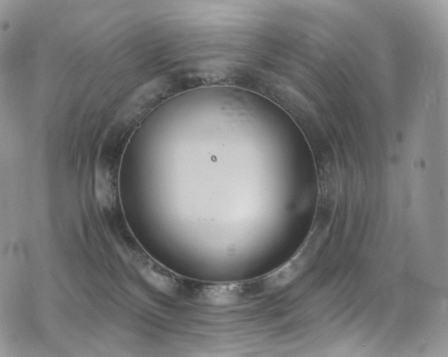 X0000073920136200608111232