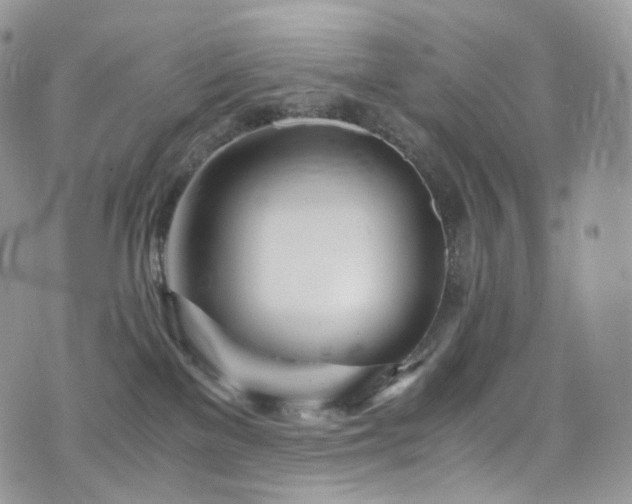 X0000073920137200608111232