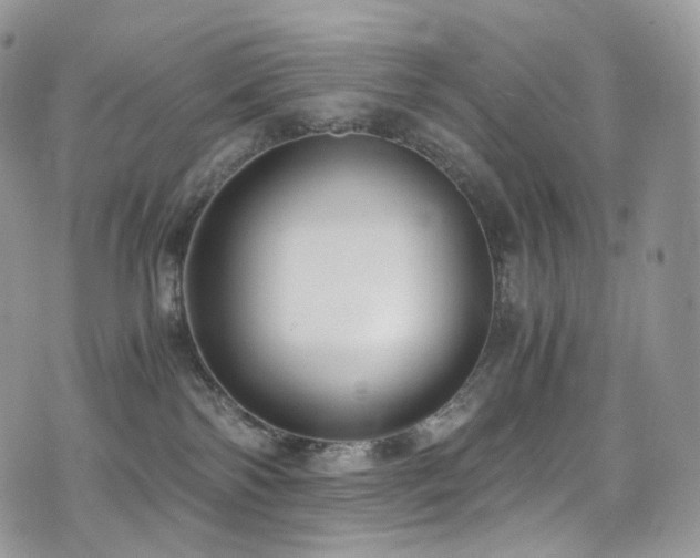 X0000073920138200608111232