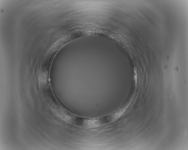 X0000073920139200608111232