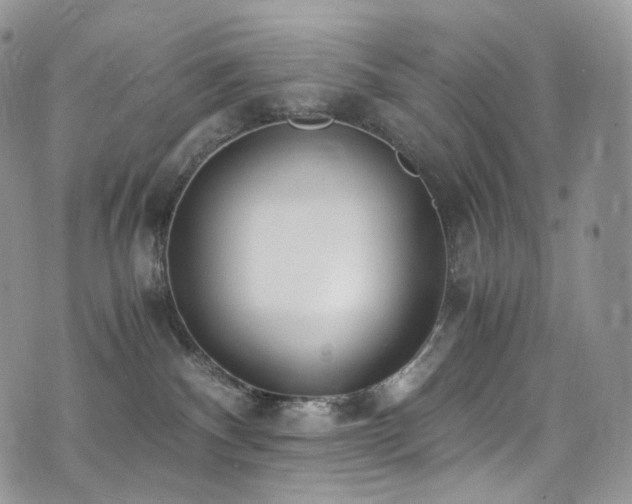 X0000073920140200608111232