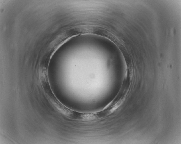 X0000073920141200608111232