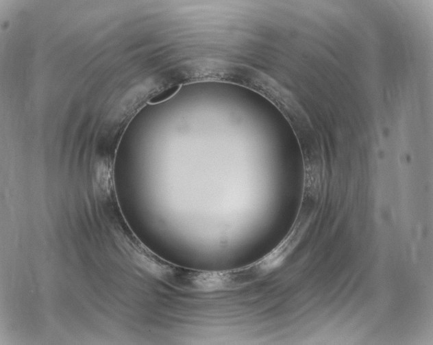 X0000073920142200608111232