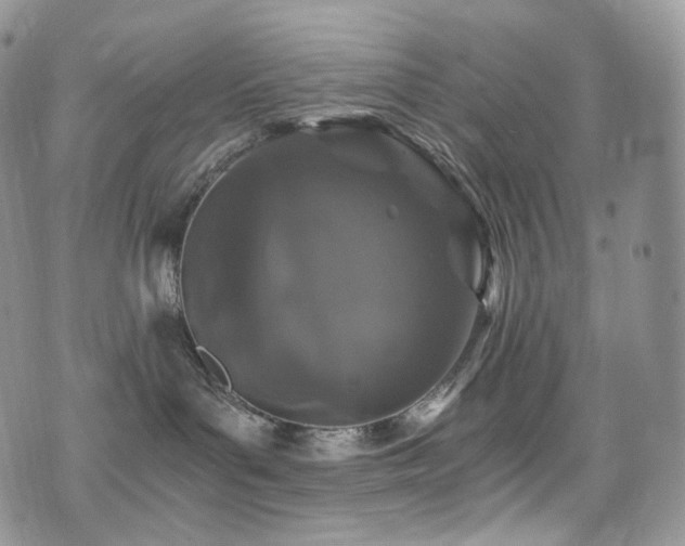 X0000073920143200608111232