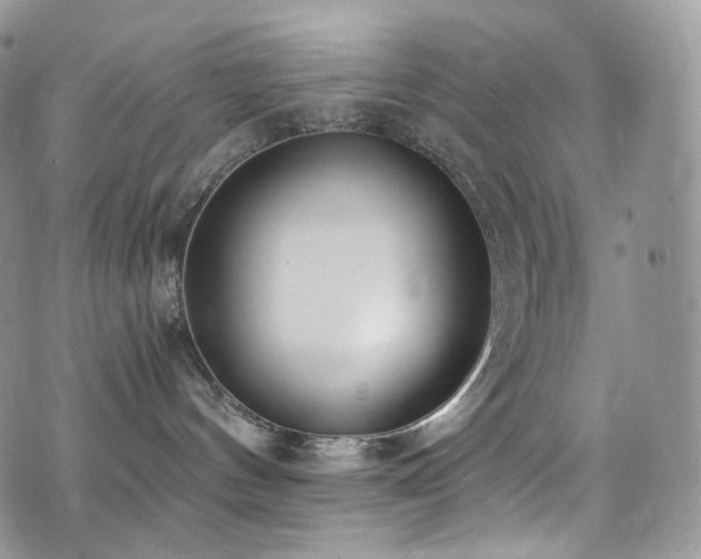 X0000073920144200608111232