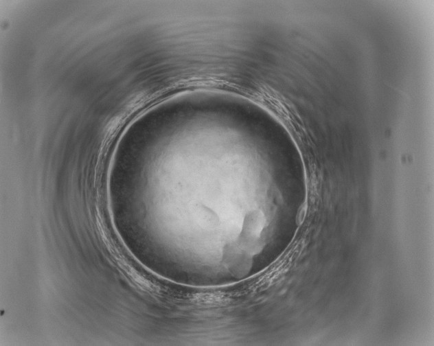 X0000073920145200608111231