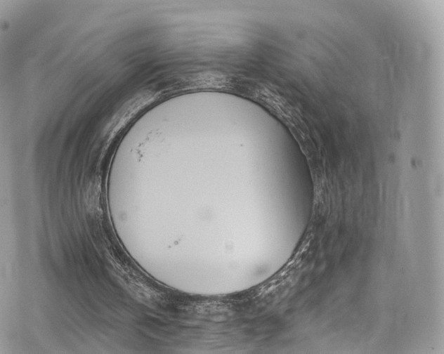 X0000073920146200608111231