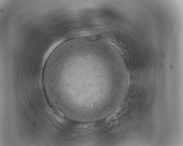 X0000073920147200608111231