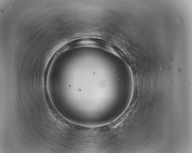 X0000073920148200608111231