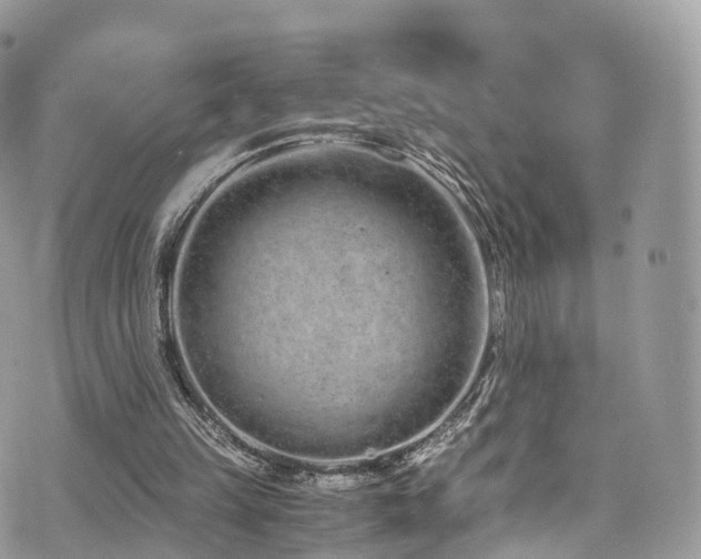 X0000073920149200608111231