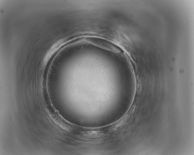 X0000073920151200608111231