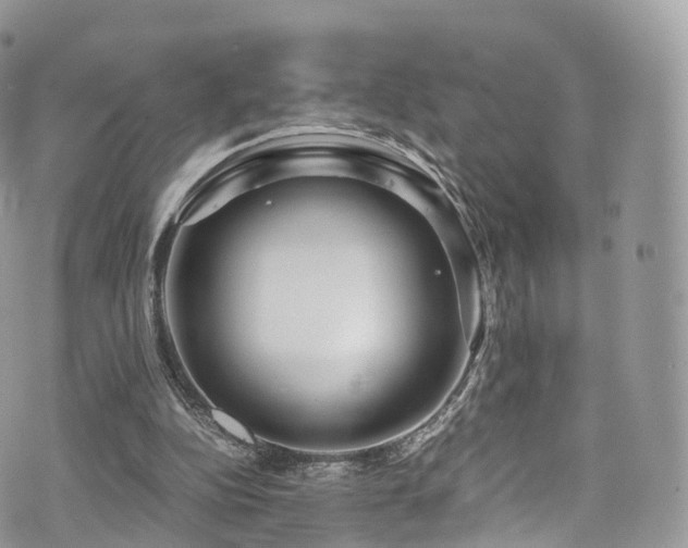 X0000073920152200608111231