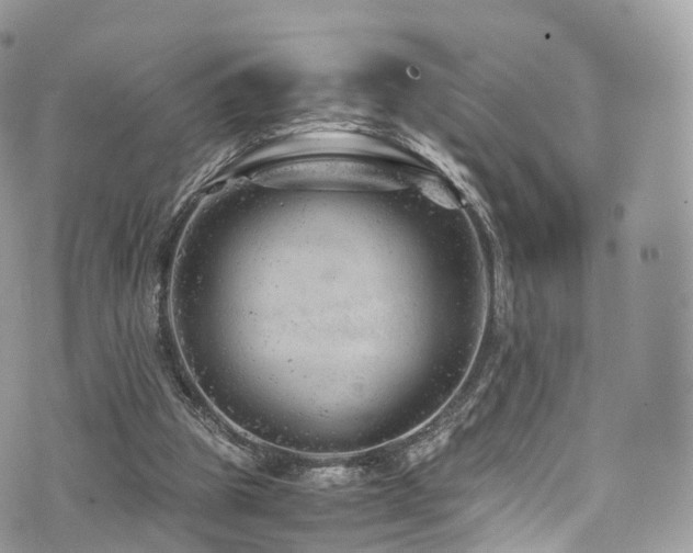 X0000073920153200608111231