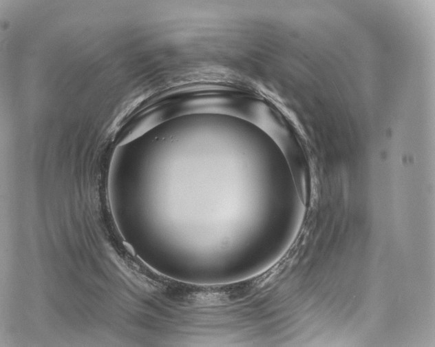 X0000073920154200608111231