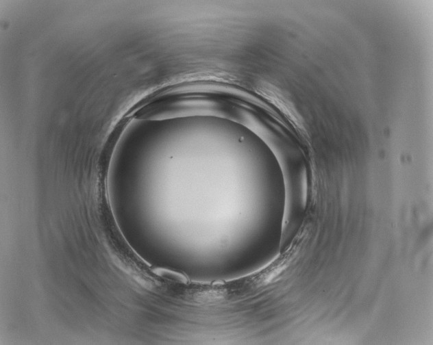 X0000073920156200608111231