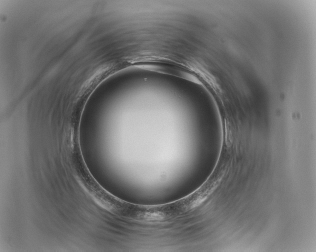 X0000073920157200608111231