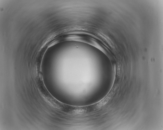 X0000073920158200608111231