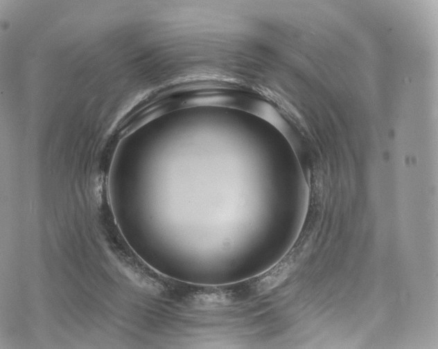 X0000073920160200608111231