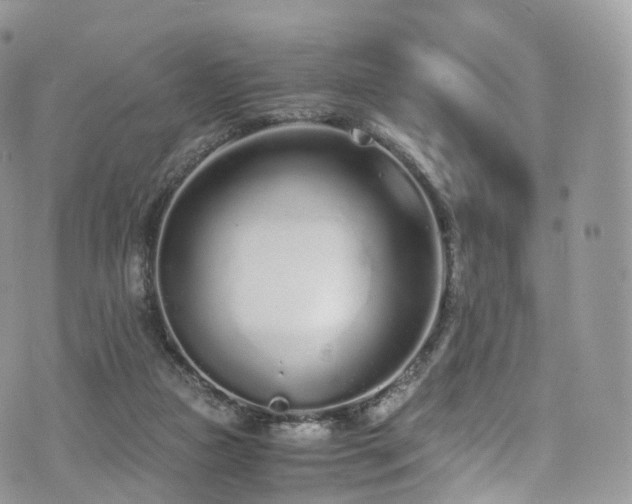 X0000073920161200608111231