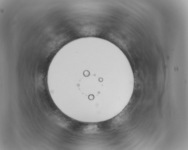 X0000073920162200608111231