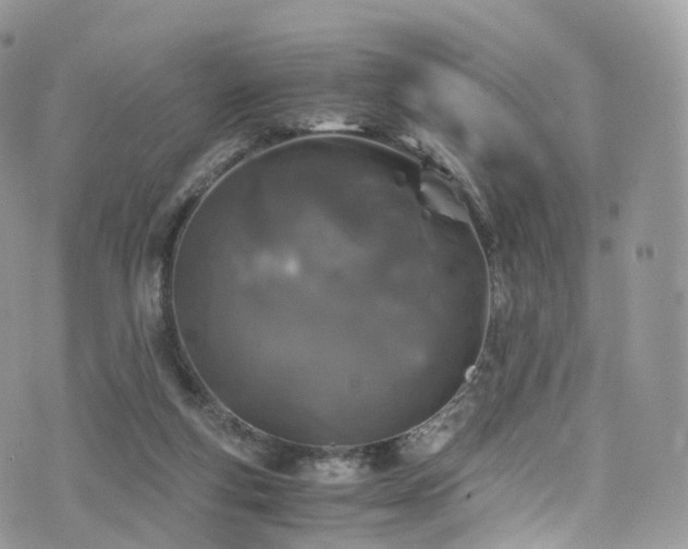 X0000073920163200608111231