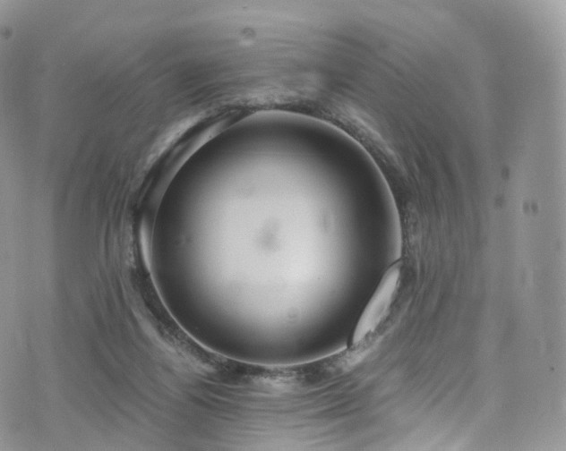 X0000073920164200608111231