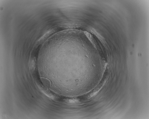 X0000073920165200608111231